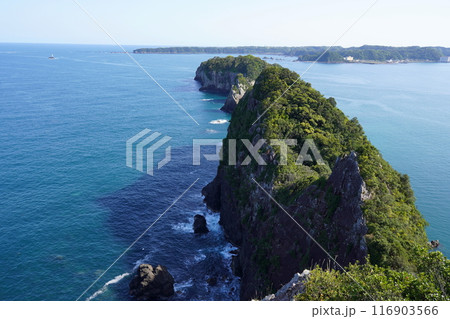 那智勝浦　紀の松島 116903566