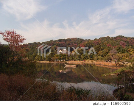 国指定晩秋三渓園の絶景1 国指定晩秋三渓園の絶景1 116903596