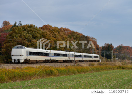 旧北陸本線を走る681系特急しらさぎ5両 旧北陸本線を走る681系特急しらさぎ5両 116903753