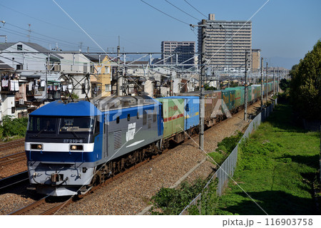 東海道本線を走るEF210-8コンテナ貨物列車 116903758