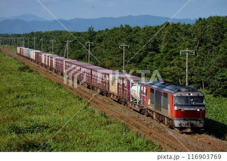 室蘭本線を走るDF200-120コンテナ貨物列車 116903769