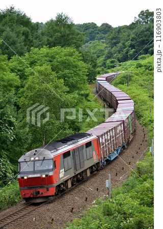 室蘭本線を走るDF200-2コンテナ貨物列車 室蘭本線を走るDF200-2コンテナ貨物列車 116903803