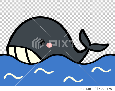 かわいいクジラのキャラクターイラスト素材 116904570