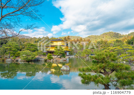 古い 太古 古代 116904779