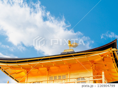 古い 太古 古代 116904799