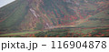 紅葉のピークを迎えた大雪山裾合平 116904878