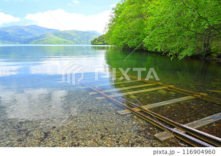 湖のなかへ消えていく線路と夏の木々たち 湖のなかへ消えていく線路と夏の木々たち 116904960