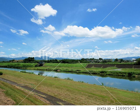 合志川の風景　熊本市北区植木町 116905071