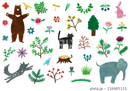 手描き水彩　動物と植物のセット 116905115