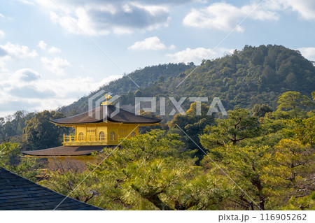 古い 太古 古代 116905262