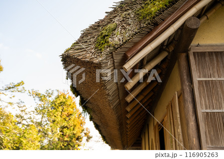 建築 構築 アーキテクチャ 116905263