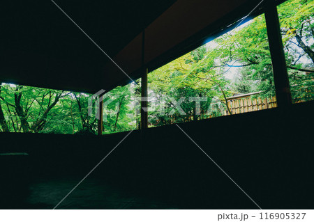 京都の美しい苔寺 116905327