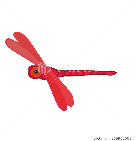 トンボのイラスト 116905503