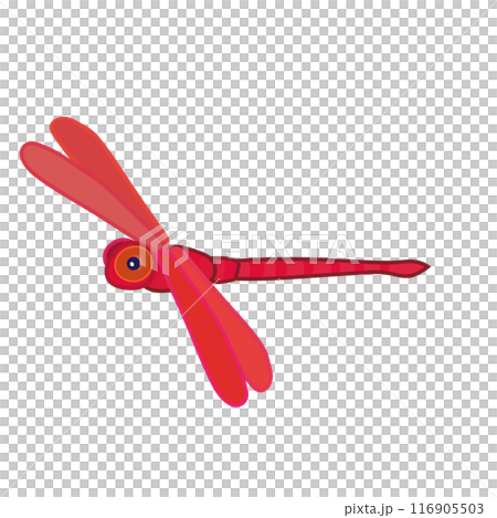 トンボのイラスト 116905503