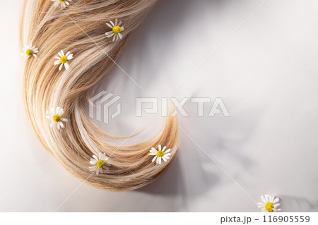 Fresh chestnut flowers and hair isolated on a white background. Hair loss concept. Flat lay. Copy space 116905559