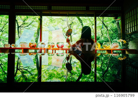 嵐山祐斎亭の美しい庭園 嵐山祐斎亭の美しい庭園 116905799