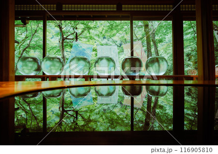 嵐山祐斎亭の美しい庭園 116905810