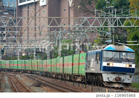 東海道本線山崎駅付近を走行するJR貨物EF210と福山通運コンテナ列車 116905868