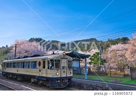四所駅と桜の共演 - 京都丹後鉄道 KTR700 116905872