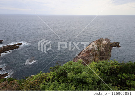 春、初夏、夏の和歌山、南紀、白浜、グランピングで焚火とブルーラグーンの海を散策、鳥毛洞窟や日置川 116905881