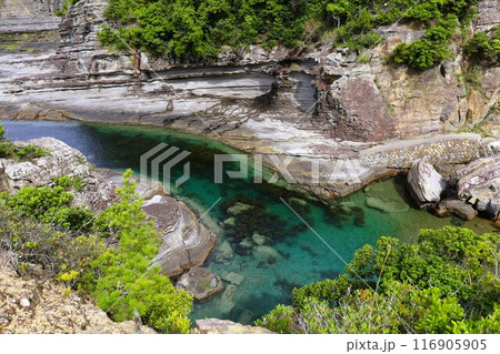 春、初夏、夏の和歌山、南紀、白浜、グランピングで焚火とブルーラグーンの海を散策、鳥毛洞窟や日置川 春、初夏、夏の和歌山、南紀、白浜、グランピングで焚火とブルーラグーンの海を散策、鳥毛洞窟や日置川 116905905