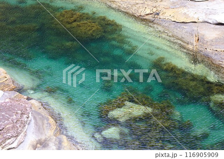 春、初夏、夏の和歌山、南紀、白浜、グランピングで焚火とブルーラグーンの海を散策、鳥毛洞窟や日置川 116905909