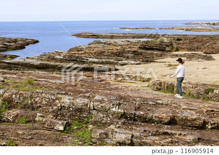春、初夏、夏の和歌山、南紀、白浜、グランピングで焚火とブルーラグーンの海を散策、鳥毛洞窟や日置川 116905914