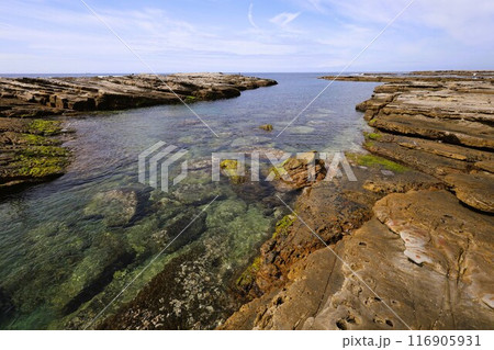 春、初夏、夏の和歌山、南紀、白浜、グランピングで焚火とブルーラグーンの海を散策、鳥毛洞窟や日置川 116905931
