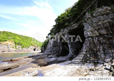 春、初夏、夏の和歌山、南紀、白浜、グランピングで焚火とブルーラグーンの海を散策、鳥毛洞窟や日置川 春、初夏、夏の和歌山、南紀、白浜、グランピングで焚火とブルーラグーンの海を散策、鳥毛洞窟や日置川 116905955