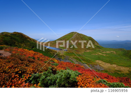 秋田駒ケ岳 男岳側からの風景 秋田駒ケ岳 男岳側からの風景 116905956