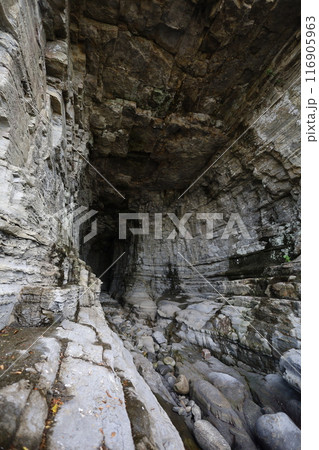 春、初夏、夏の和歌山、南紀、白浜、グランピングで焚火とブルーラグーンの海を散策、鳥毛洞窟や日置川 春、初夏、夏の和歌山、南紀、白浜、グランピングで焚火とブルーラグーンの海を散策、鳥毛洞窟や日置川 116905963