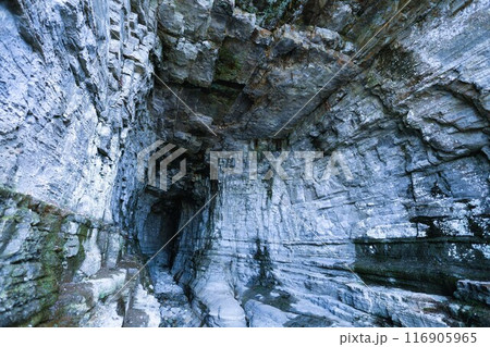 春、初夏、夏の和歌山、南紀、白浜、グランピングで焚火とブルーラグーンの海を散策、鳥毛洞窟や日置川 春、初夏、夏の和歌山、南紀、白浜、グランピングで焚火とブルーラグーンの海を散策、鳥毛洞窟や日置川 116905965