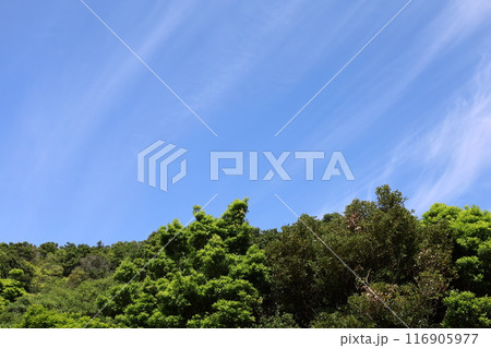 春、初夏、夏の和歌山、南紀、白浜、グランピングで焚火とブルーラグーンの海を散策、鳥毛洞窟や日置川 春、初夏、夏の和歌山、南紀、白浜、グランピングで焚火とブルーラグーンの海を散策、鳥毛洞窟や日置川 116905977