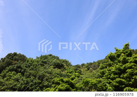 春、初夏、夏の和歌山、南紀、白浜、グランピングで焚火とブルーラグーンの海を散策、鳥毛洞窟や日置川 116905978