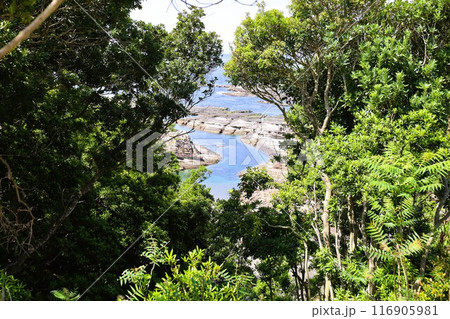 春、初夏、夏の和歌山、南紀、白浜、グランピングで焚火とブルーラグーンの海を散策、鳥毛洞窟や日置川 春、初夏、夏の和歌山、南紀、白浜、グランピングで焚火とブルーラグーンの海を散策、鳥毛洞窟や日置川 116905981