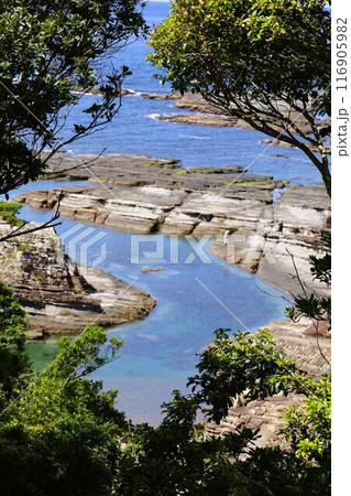 春、初夏、夏の和歌山、南紀、白浜、グランピングで焚火とブルーラグーンの海を散策、鳥毛洞窟や日置川 116905982