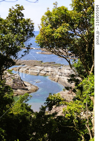 春、初夏、夏の和歌山、南紀、白浜、グランピングで焚火とブルーラグーンの海を散策、鳥毛洞窟や日置川 116905984