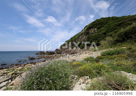 春、初夏、夏の和歌山、南紀、白浜、グランピングで焚火とブルーラグーンの海を散策、鳥毛洞窟や日置川 116905998