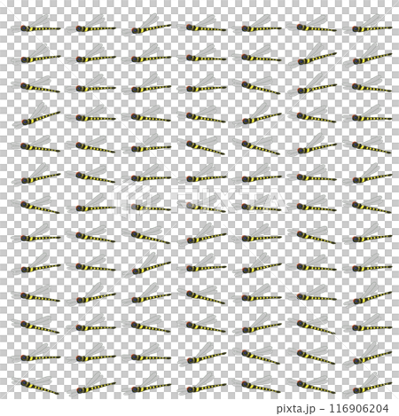 Dragonfly wallpaper illustration 116906204