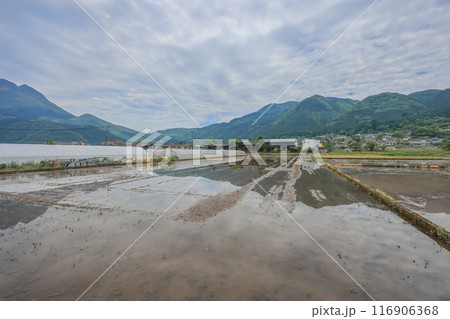Yufuin Field Farm, Pastoral Charm in Nagasaki Countryside May 15 2024 Yufuin Field Farm, Pastoral Charm in Nagasaki Countryside May 15 2024 116906368