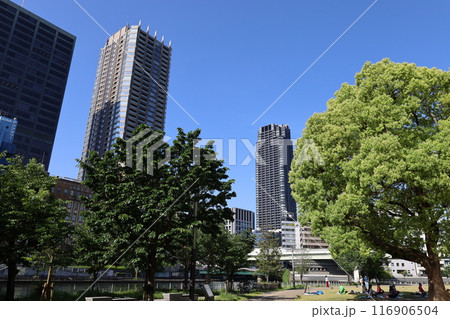春から初夏へ、日本、大阪の中心部、ああここは中之島、バラ園のバラの園、ローズガーデンで見る公園 春から初夏へ、日本、大阪の中心部、ああここは中之島、バラ園のバラの園、ローズガーデンで見る公園 116906504