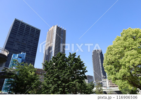 春から初夏へ、日本、大阪の中心部、ああここは中之島、バラ園のバラの園、ローズガーデンで見る公園 春から初夏へ、日本、大阪の中心部、ああここは中之島、バラ園のバラの園、ローズガーデンで見る公園 116906506