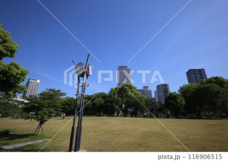 春から初夏へ、日本、大阪の中心部、ああここは中之島、バラ園のバラの園、ローズガーデンで見る公園 116906515