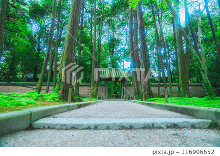 唐招提寺の美しい風景 唐招提寺の美しい風景 116906652