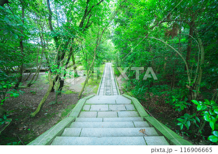 唐招提寺の美しい風景 唐招提寺の美しい風景 116906665