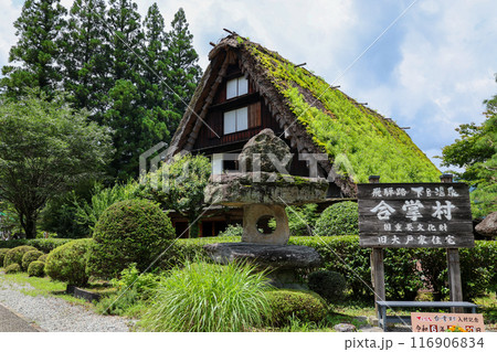 合掌造りの家と茅葺 合掌造りの家と茅葺 116906834