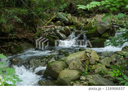小さな滝 小さな滝 116906837