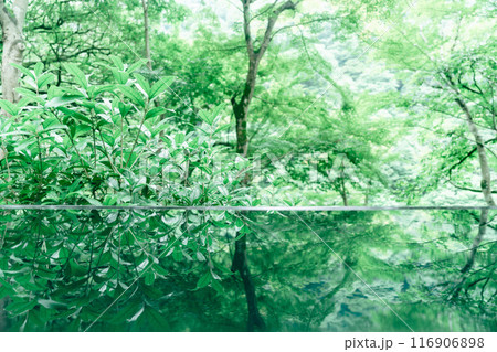 嵐山祐斎亭の美しい庭園 嵐山祐斎亭の美しい庭園 116906898