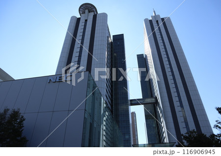 向河原 街並み 向河原 街並み 116906945