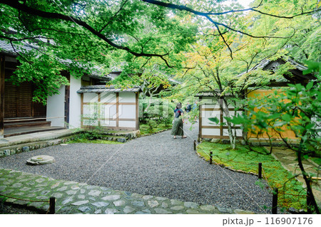 京都の苔寺の美しい風景 京都の苔寺の美しい風景 116907176